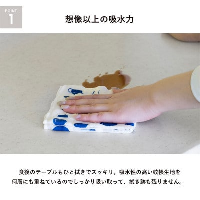 まごころ台ふきん 真しかく 6枚セット ブルーいろ 泉州タオル G3938