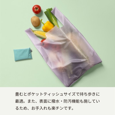 エコバッグ Regileレジル(グレー) aso0032 G2811