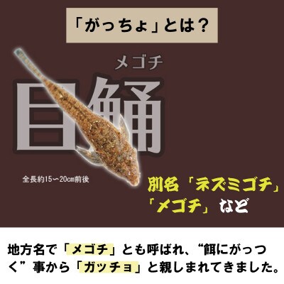 大阪泉州ソウルフード がっちょのから揚げ スタンダード 6袋 010B1243