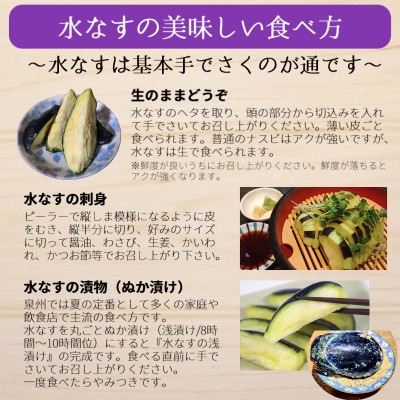 【先行受付】野菜ソムリエサミット金賞 大和屋さんの大阪泉州特産 水なす 010B1373
