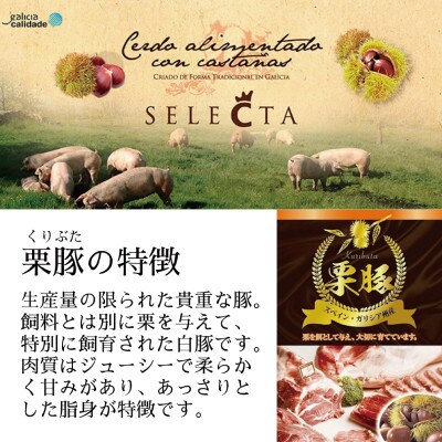 栗豚ステーキ2.4kg【オリジナルスパイス仕込み 1パック2枚入 300g×8P】 099H3115