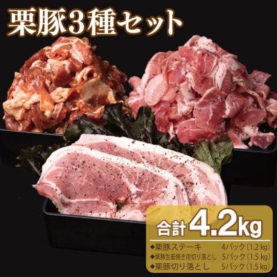 栗豚3種セット 合計4.2kg(ステーキ×4/切り落とし×5/生姜焼き用×5) 099H3143
