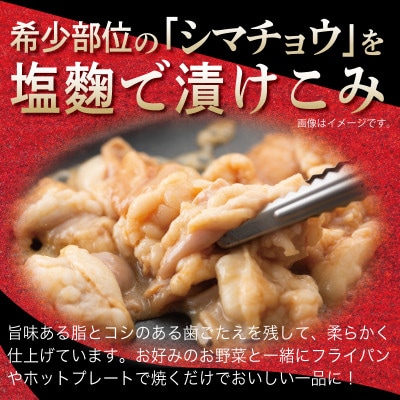 牛シマチョウ 焼肉用 塩麹漬け 合計1.5kg【味付け 小分け 牛肉ホルモン】 099H3380