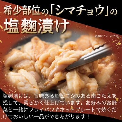 牛シマチョウ 焼肉用 塩麹・タレ漬けセット 合計1.5kg【小分け 牛肉ホルモン】 099H3379