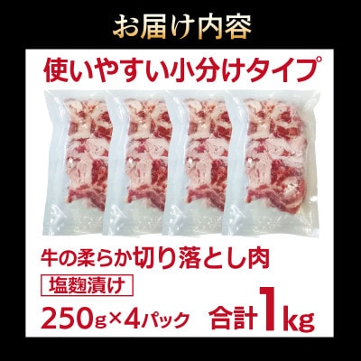 牛肉 切り落とし 塩麹漬け 合計1kg【味付け 小分け 焼くだけ BBQ】 099H3389