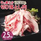 牛肉 切り落とし 塩麹漬け 合計2.5kg【味付け 小分け 焼くだけ BBQ】 099H3387