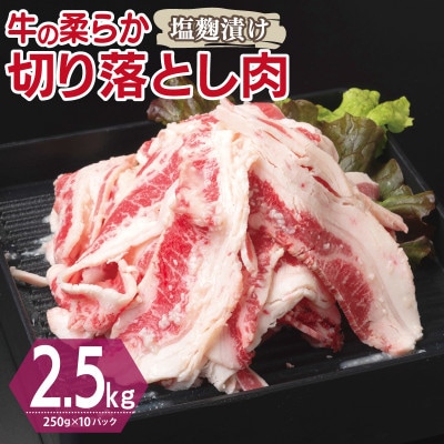 牛肉 切り落とし 塩麹漬け 合計2.5kg【味付け 小分け 焼くだけ BBQ】 099H3387