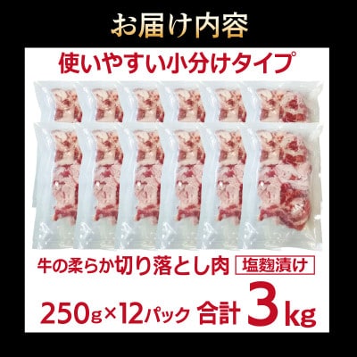 牛肉 切り落とし 塩麹漬け 合計3kg【味付け 小分け 焼くだけ BBQ】 099H3388