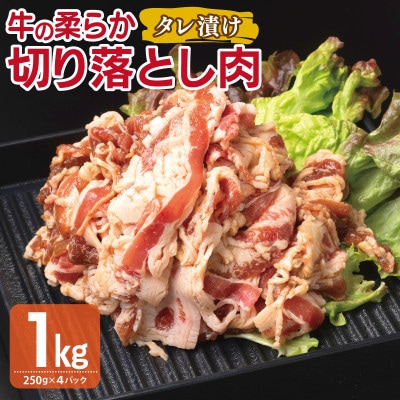 牛肉 切り落とし タレ漬け 合計1kg【味付け 小分け 焼くだけ BBQ】 099H3385
