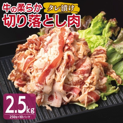 牛肉 切り落とし タレ漬け 合計2.5kg【味付け 小分け 焼くだけ BBQ】 099H3383