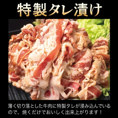 牛肉 切り落とし タレ漬け 合計2.5kg【味付け 小分け 焼くだけ BBQ】 099H3383