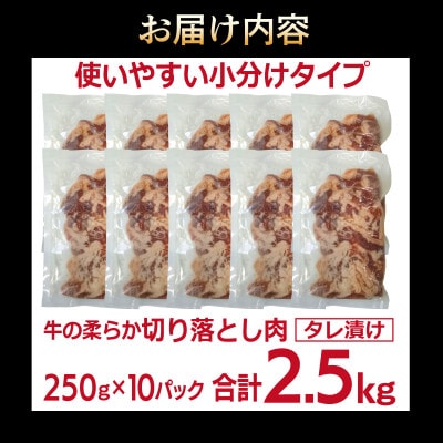 牛肉 切り落とし タレ漬け 合計2.5kg【味付け 小分け 焼くだけ BBQ】 099H3383