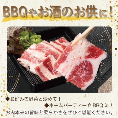 焼肉用 牛カルビ 塩麹漬け 合計1kg【味付け 小分け 焼くだけ BBQ】 010B1596