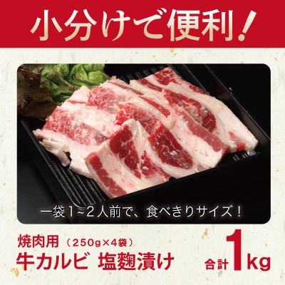 焼肉用 牛カルビ 塩麹漬け 合計1kg【味付け 小分け 焼くだけ BBQ】 010B1596
