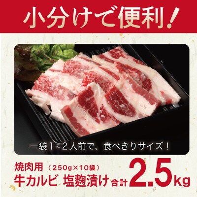 焼肉用 牛カルビ 塩麹漬け 合計2.5kg【味付け 小分け 焼くだけ BBQ】 099H3394