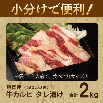 焼肉用 牛カルビ タレ漬け 合計2kg【味付け 小分け 焼くだけ BBQ】 099H3393