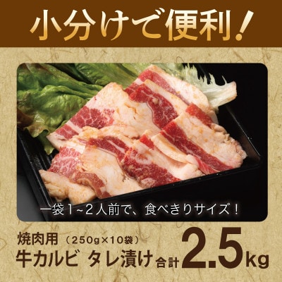 焼肉用 牛カルビ タレ漬け 合計2.5kg【味付け 小分け 焼くだけ BBQ】 099H3391