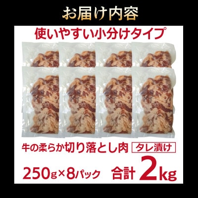 牛肉 切り落とし タレ漬け 合計2kg【味付け 小分け 焼くだけ BBQ】 099H3386