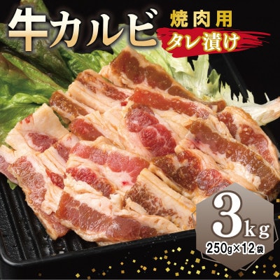 焼肉用 牛カルビ タレ漬け 合計3kg【味付け 小分け 焼くだけ BBQ】 099H3392