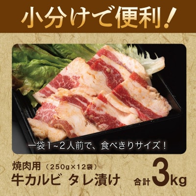 焼肉用 牛カルビ タレ漬け 合計3kg【味付け 小分け 焼くだけ BBQ】 099H3392