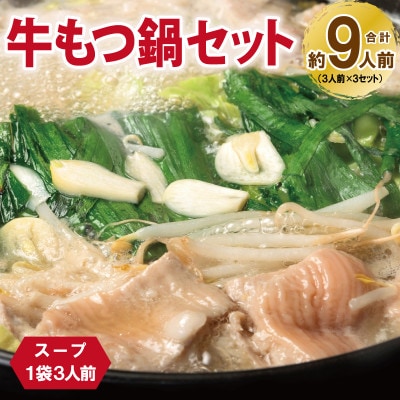 牛もつ鍋セット スープ付 約9人前【味付け 小分け 牛肉 ホルモン 醤油ベース】 099H3382