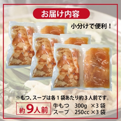 牛もつ鍋セット スープ付 約9人前【味付け 小分け 牛肉 ホルモン 醤油ベース】 099H3382
