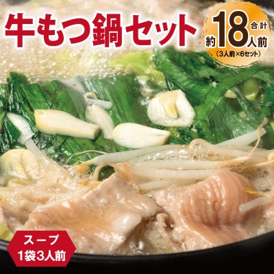 牛もつ鍋セット スープ付 約18人前【味付け 小分け 牛肉 ホルモン 醤油ベース】 099H3381