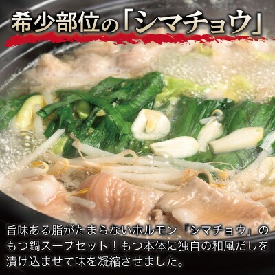 牛もつ鍋セット スープ付 約18人前【味付け 小分け 牛肉 ホルモン 醤油ベース】 099H3381