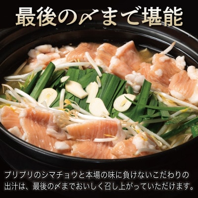 牛もつ鍋セット スープ付 約18人前【味付け 小分け 牛肉 ホルモン 醤油ベース】 099H3381