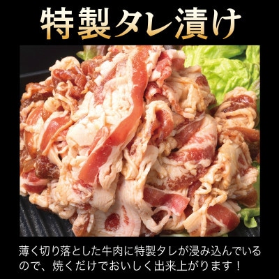 牛肉 切り落とし タレ漬け+塩麹漬け 合計1kg(250g×各2袋)010B1670