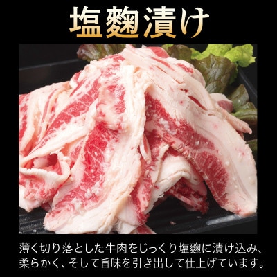 牛肉 切り落とし タレ漬け+塩麹漬け 合計1kg(250g×各2袋)010B1670