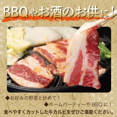 牛カルビ 焼肉用 タレ漬け+塩麹漬け 合計1kg(250g×各2袋)010B1669