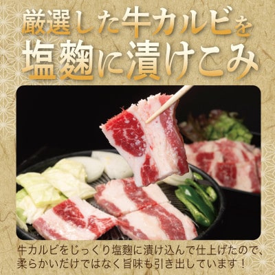 牛カルビ 焼肉用 タレ漬け+塩麹漬け 合計1kg(250g×各2袋)010B1669