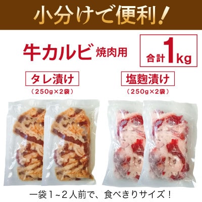 牛カルビ 焼肉用 タレ漬け+塩麹漬け 合計1kg(250g×各2袋)010B1669