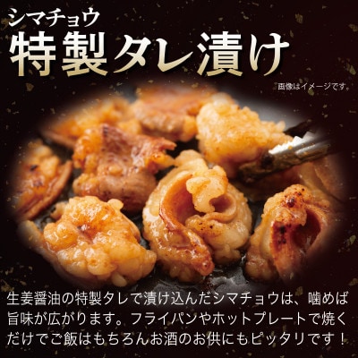牛シマチョウ(タレ漬け+塩麹)&塩麹漬け牛カルビの焼肉セット 合計1.5Kg　010B1667
