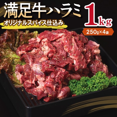満足牛ハラミ　オリジナルスパイス仕込み 合計1kg　味付け 小分け 焼くだけ　010B1723