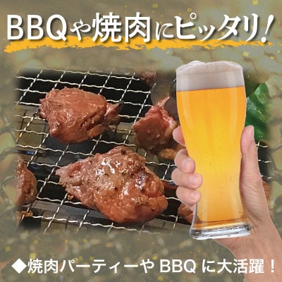 満足牛ハラミ　オリジナルスパイス仕込み 合計1.5kg　味付け 小分け 焼くだけ 015B502