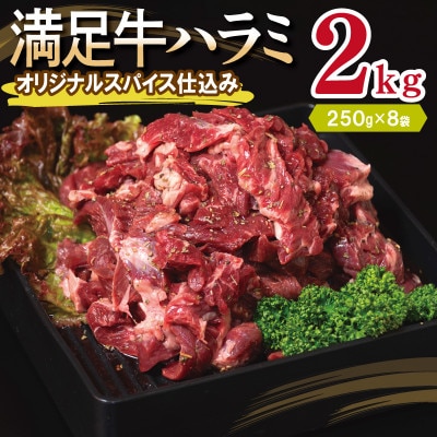 満足牛ハラミ　オリジナルスパイス仕込み 合計2kg　味付け 小分け 焼くだけ 099H3707