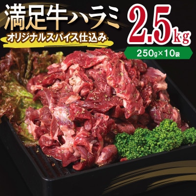 満足牛ハラミ　オリジナルスパイス仕込み 合計2.5kg　味付け 小分け 焼くだけ 099H3706