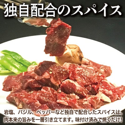 満足牛ハラミ　オリジナルスパイス仕込み 合計2.5kg　味付け 小分け 焼くだけ 099H3706