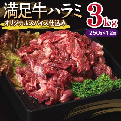 満足牛ハラミ　オリジナルスパイス仕込み 合計3kg　味付け 小分け 焼くだけ　099H3708