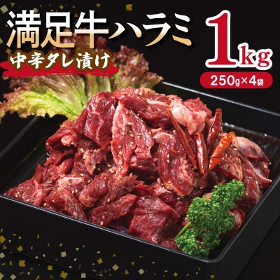 満足牛ハラミ　中辛タレ漬け 合計1kg　牛肉 味付け 小分け 焼肉 焼くだけ　010B1724