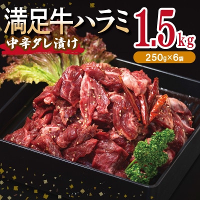 満足牛ハラミ　中辛タレ漬け 合計1.5kg　牛肉 味付け 小分け 焼肉 焼くだけ　015B503
