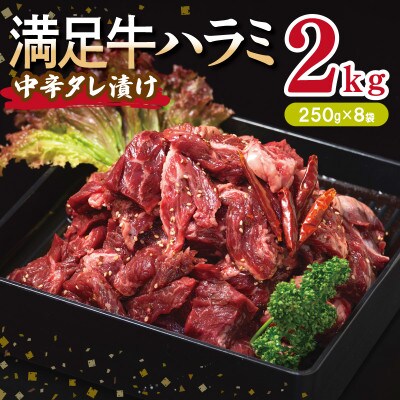 満足牛ハラミ　中辛タレ漬け 合計2kg　牛肉 味付け 小分け 焼肉 焼くだけ 099H3710