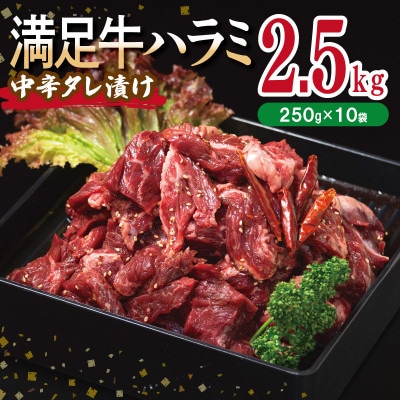 満足牛ハラミ　中辛タレ漬け 合計2.5kg　牛肉 味付け 小分け 焼肉 焼くだけ　099H3709