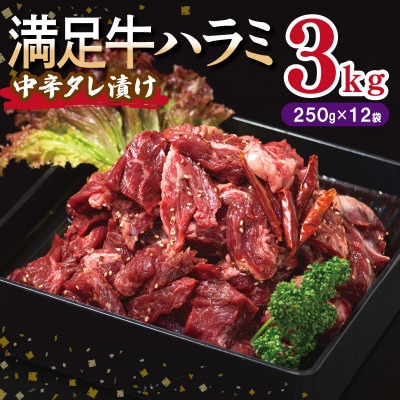 満足牛ハラミ　中辛タレ漬け 合計3kg　牛肉 味付け 小分け 焼肉 焼くだけ 099H3711