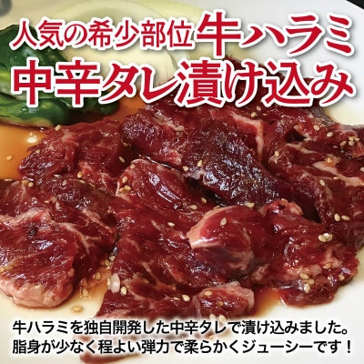 満足牛ハラミ　中辛タレ漬け 合計3kg　牛肉 味付け 小分け 焼肉 焼くだけ 099H3711