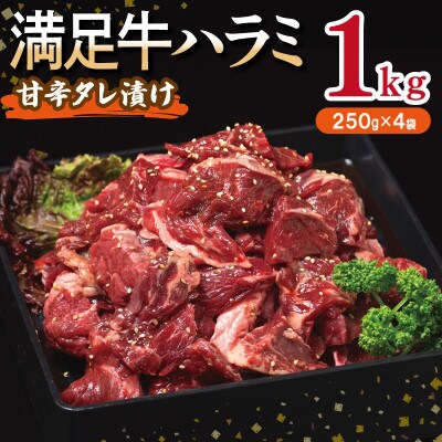 満足牛ハラミ　甘辛タレ漬け 合計1kg　牛肉 味付け 小分け 焼肉 焼くだけ　010B1725