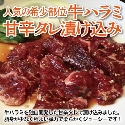 満足牛ハラミ　甘辛タレ漬け 合計1.5kg　牛肉 味付け 小分け 焼肉 焼くだけ 015B504
