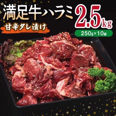 満足牛ハラミ　甘辛タレ漬け 合計2.5kg　牛肉 味付け 小分け 焼肉 焼くだけ 099H3712